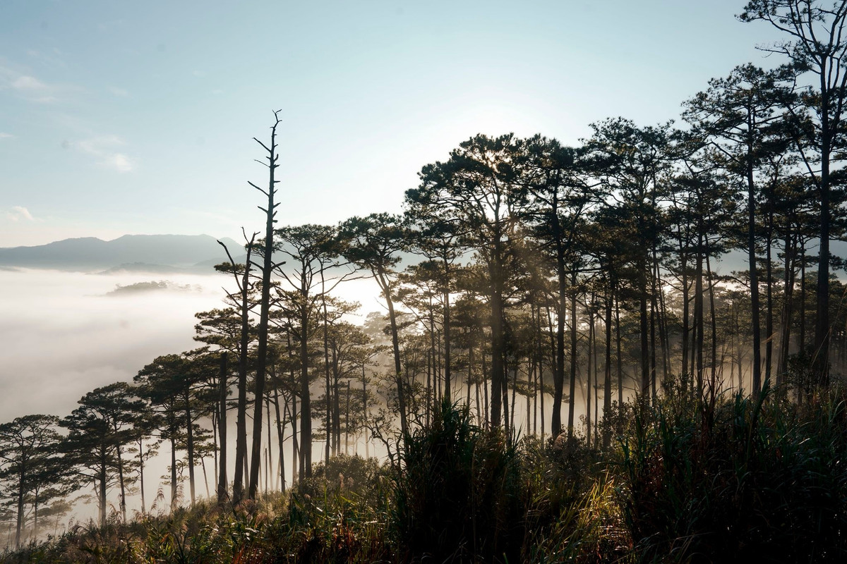 K’Long K’Lanh nằm trên QL27C cung đường được mệnh danh là “cung đường hoa và biển” bởi kết nối “thành phố ngàn hoa” Đà Lạt với thành phố biển Ninh Thuận đầy nắng gió. Trên hành trình ấy, K’Long K’Lanh như một điểm dừng chân dịu dàng, nơi du khách có thể chậm lại để cảm nhận trọn vẹn vẻ đẹp của thiên nhiên cao nguyên.