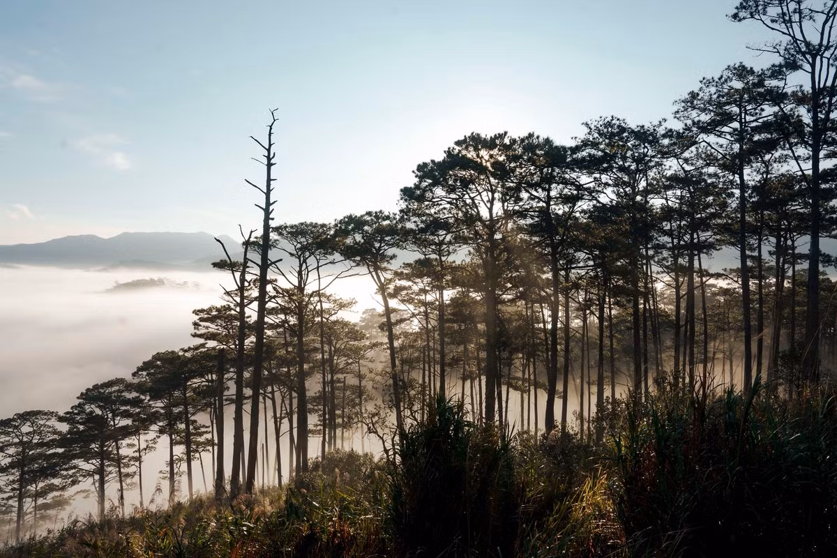 K’Long K’Lanh nằm trên QL27C cung đường được mệnh danh là “cung đường hoa và biển” bởi kết nối “thành phố ngàn hoa” Đà Lạt với thành phố biển Ninh Thuận đầy nắng gió. Trên hành trình ấy, K’Long K’Lanh như một điểm dừng chân dịu dàng, nơi du khách có thể chậm lại để cảm nhận trọn vẹn vẻ đẹp của thiên nhiên cao nguyên.