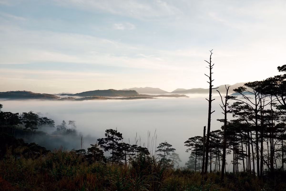 Theo chia sẻ của những người săn mây thành công tại nơi đây, khoảnh khắc đẹp nhất thường đến vào khoảng 5h30 đến 7h sáng. Khi những tia nắng đầu tiên xuyên qua rừng thông, ánh sáng vàng rót xuống lớp sương mỏng, tạo thành những vệt sáng lung linh giữa không gian tĩnh lặng.