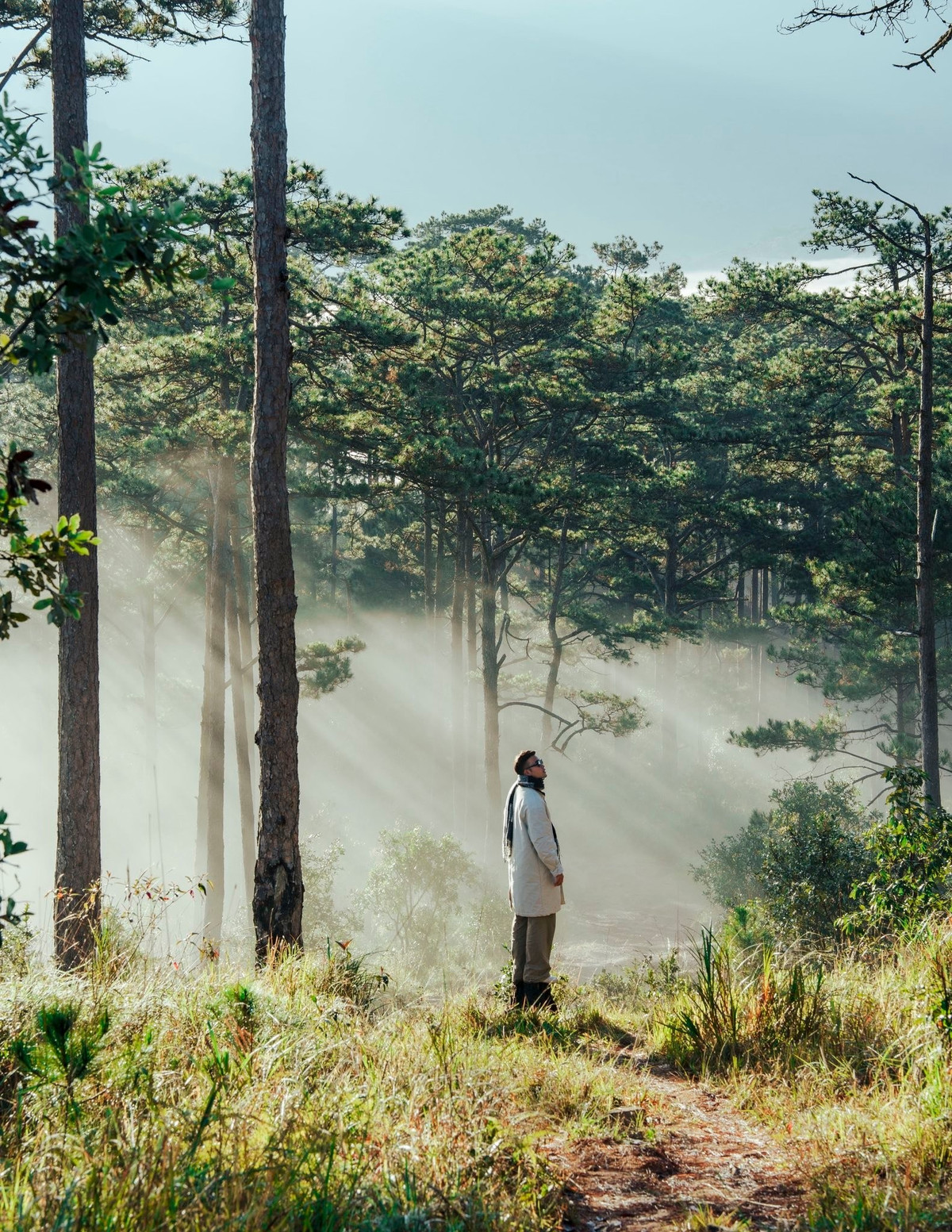 Từ sáng sớm, khi mặt trời còn chưa kịp ló dạng, cả thung lũng K’Long K’Lanh đã chìm trong màn sương dày đặc. Biển mây trắng xóa phủ kín các triền đồi, len lỏi qua những rặng thông cao vút, tạo nên khung cảnh mờ ảo như chốn bồng lai.