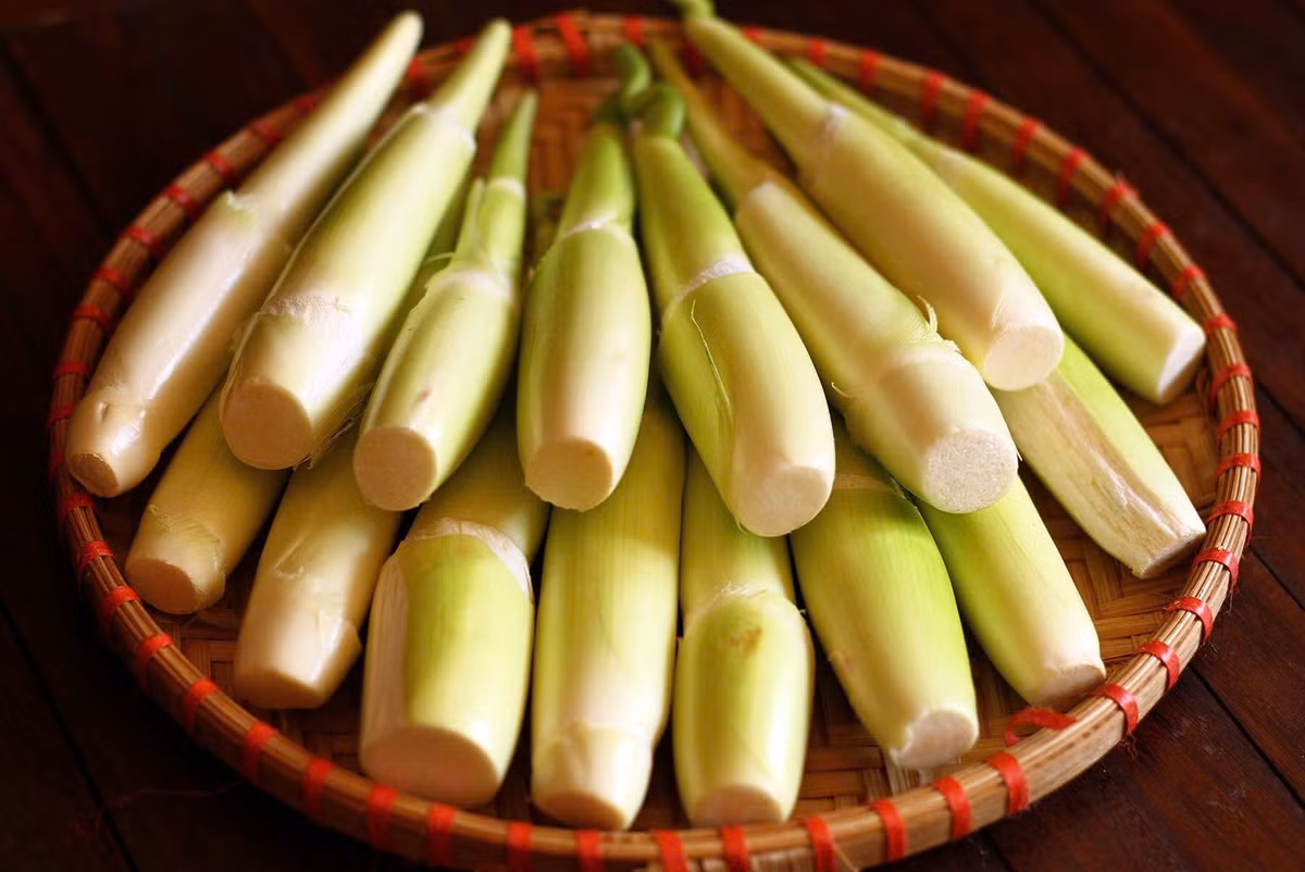 Khi những đợt gió lạnh đầu mùa ùa về, trên các mảnh ruộng vùng Nam Định (cũ) bắt đầu xuất hiện niễng – thứ rau củ đặc biệt chỉ có trong vài tuần ngắn ngủi cuối tháng 10, đầu tháng 11. Ảnh minh họa