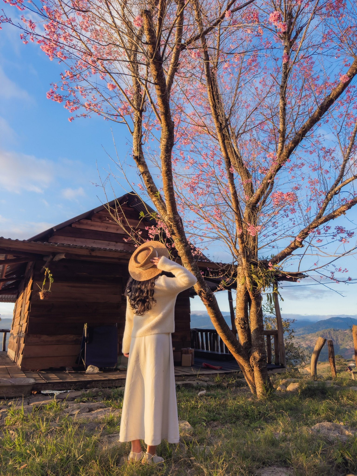 Với không gian nguyên sơ, hoa lá rực rỡ, ánh sáng tự nhiên lý tưởng, Mộng Đào Nguyên là điểm đến không thể bỏ qua cho những ai yêu hoa, yêu Đà Lạt và muốn lưu giữ những khoảnh khắc bình yên nhưng đầy màu sắc. Ảnh Phạm Kim Nhân