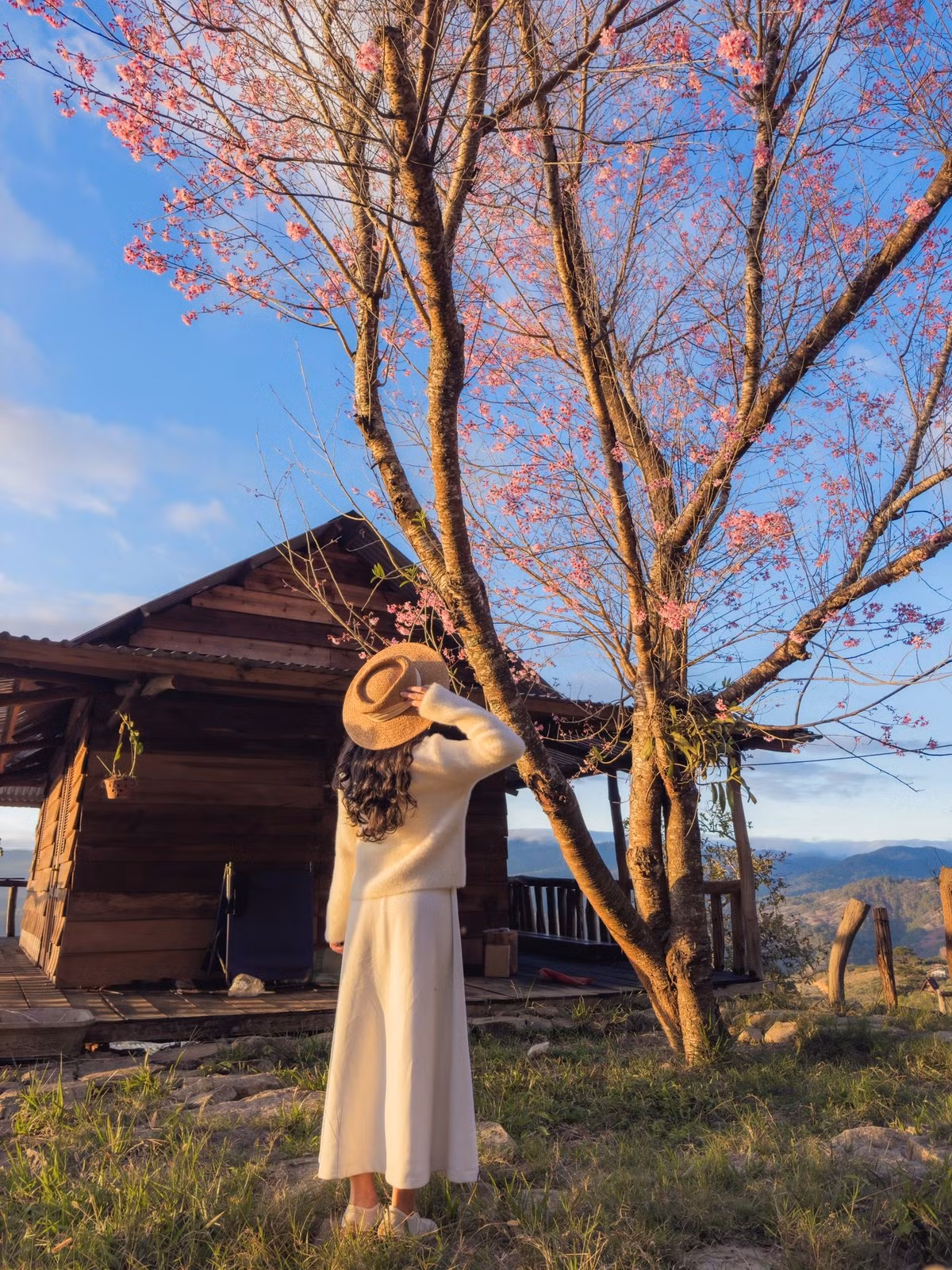 Với không gian nguyên sơ, hoa lá rực rỡ, ánh sáng tự nhiên lý tưởng, Mộng Đào Nguyên là điểm đến không thể bỏ qua cho những ai yêu hoa, yêu Đà Lạt và muốn lưu giữ những khoảnh khắc bình yên nhưng đầy màu sắc. Ảnh Phạm Kim Nhân