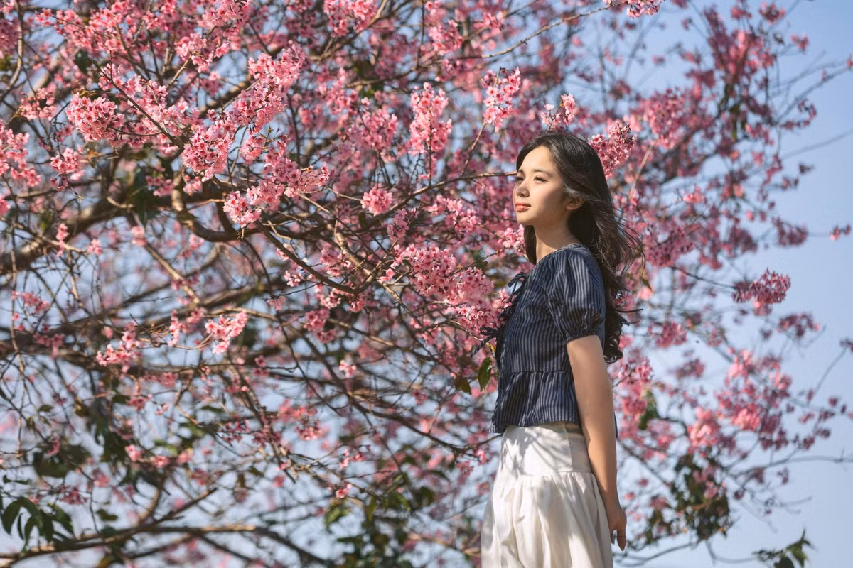 Cách trung tâm phường Xuân Hương, Đà Lạt khoảng 15 km, Mộng Đào Nguyên nép mình sau núi Langbiang như một “ốc đảo hoa” tách biệt giữa thiên nhiên hoang sơ. Ảnh Hậu Nguyễn