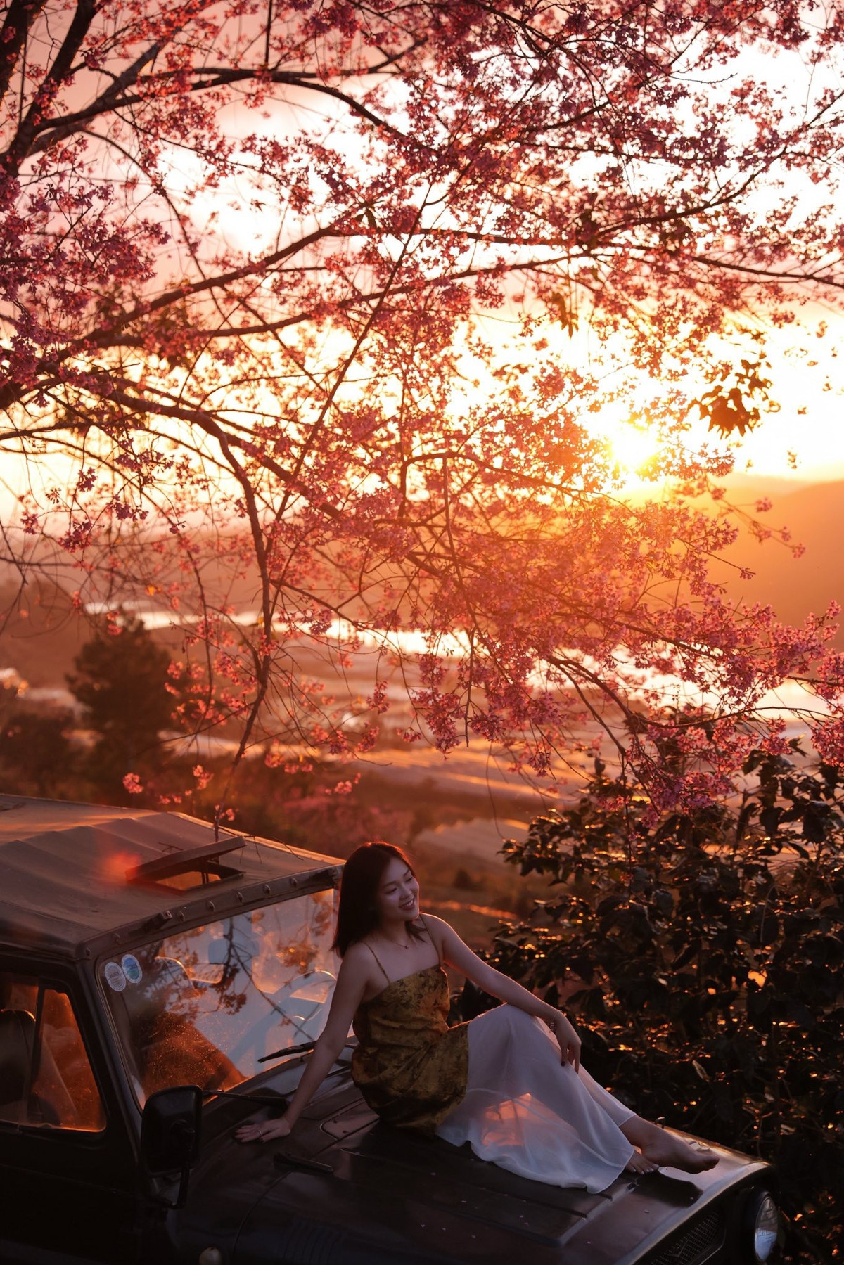 Khu rừng còn xen kẽ nhiều loài hoa khác, góp phần tạo nên vẻ đẹp đa sắc và hương thơm tự nhiên ngào ngạt, đúng tinh thần lãng mạn của Đà Lạt. Ảnh Thuý Hằng