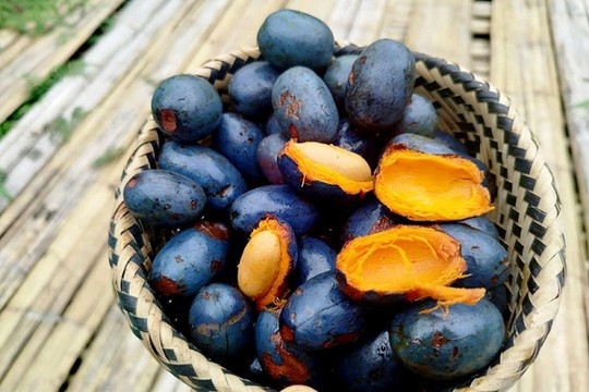 Một trong những lợi ích đáng chú ý của quả cọ là khả năng chống oxy hóa. Các hợp chất như squalene và phenolic giúp trung hòa các gốc tự do tác nhân gây lão hóa và tổn thương tế bào. Nhờ đó, việc ăn cọ ở mức vừa phải có thể hỗ trợ bảo vệ làn da và tăng cường sức khỏe tổng thể. Ảnh minh họa/ Nguồn internet