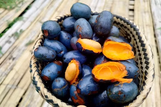 Một trong những lợi ích đáng chú ý của quả cọ là khả năng chống oxy hóa. Các hợp chất như squalene và phenolic giúp trung hòa các gốc tự do tác nhân gây lão hóa và tổn thương tế bào. Nhờ đó, việc ăn cọ ở mức vừa phải có thể hỗ trợ bảo vệ làn da và tăng cường sức khỏe tổng thể. Ảnh minh họa/ Nguồn internet