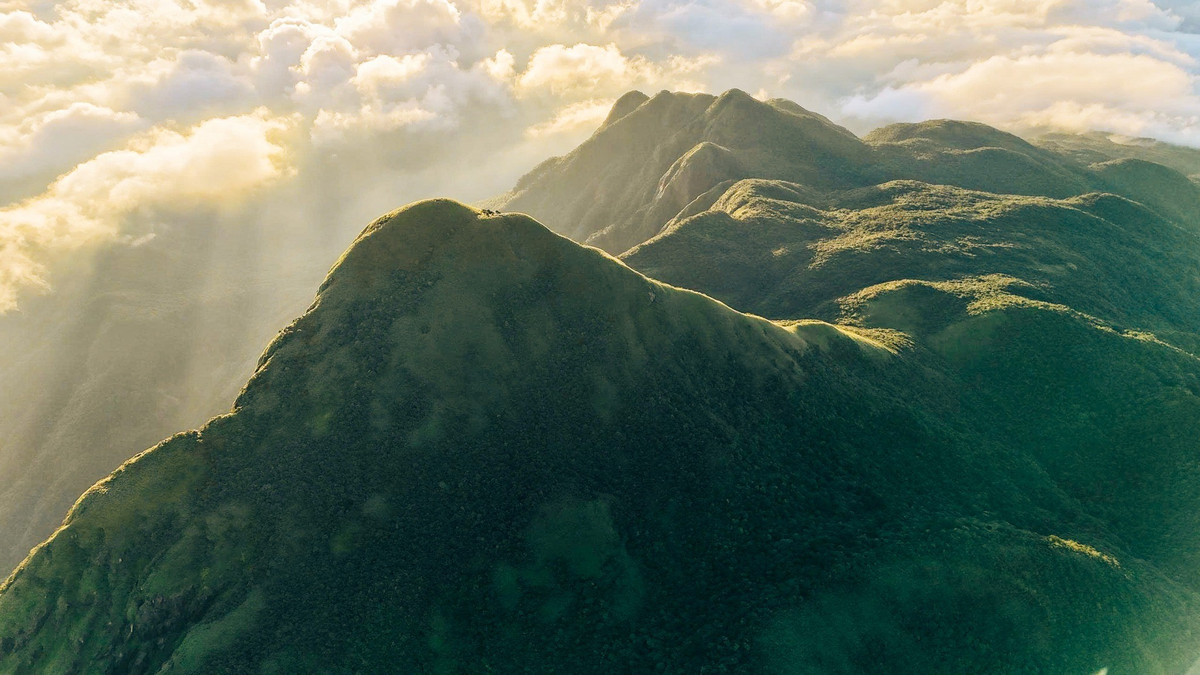 Càng lên cao, mây càng dày. Mùa xuân được xem là thời điểm săn mây đẹp nhất ở Pa Thiên – Voi Mẹp. Có lúc, mây tràn xuống tận lối đi, bồng bềnh như dòng sông trắng chảy giữa rừng già. Người trekking bước trong mây, giữa không gian thực – ảo đan xen, khiến hành trình chinh phục núi cao trở nên nhẹ nhàng và giàu chất thơ. Ảnh Internet