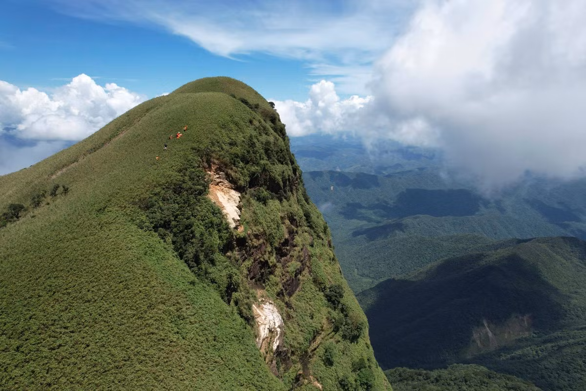 Nằm trên địa phận tỉnh Quảng Trị, Pa Thiên – Voi Mẹp được mệnh danh là “nóc nhà” của vùng đất gió Lào cát trắng. Mùa xuân, khi sương mỏng giăng kín các triền núi, nơi đây khoác lên mình vẻ đẹp mềm mại, mơ màng hiếm thấy. Con đường dẫn vào rừng già Trường Sơn bỗng trở nên dịu dàng hơn, khi nắng xuyên qua tán cây cổ thụ, chiếu xuống những phiến đá phủ rêu xanh non. Ảnh Internet
