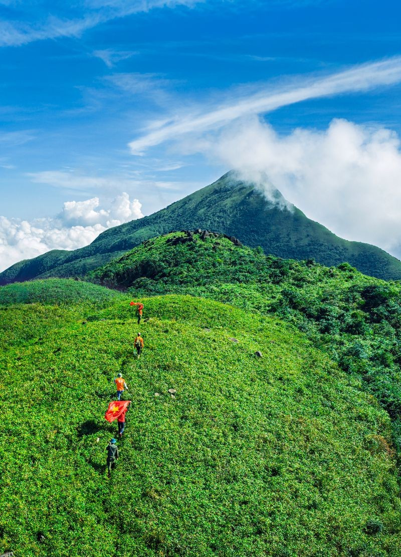 Dọc theo các khe suối, địa lan nở vàng nhạt, tinh khôi giữa nền xanh thẫm của rừng. Trên sườn núi cao, hoa đỗ quyên bung nở, sắc đỏ, hồng xen lẫn trắng nổi bật giữa biển mây bồng bềnh. Những bông hoa ấy không phô trương, không ồn ào, mà đẹp theo cách tự nhiên, đủ khiến người đi phải chậm lại, ngước nhìn và lặng im. Ảnh Nguyễn Hải