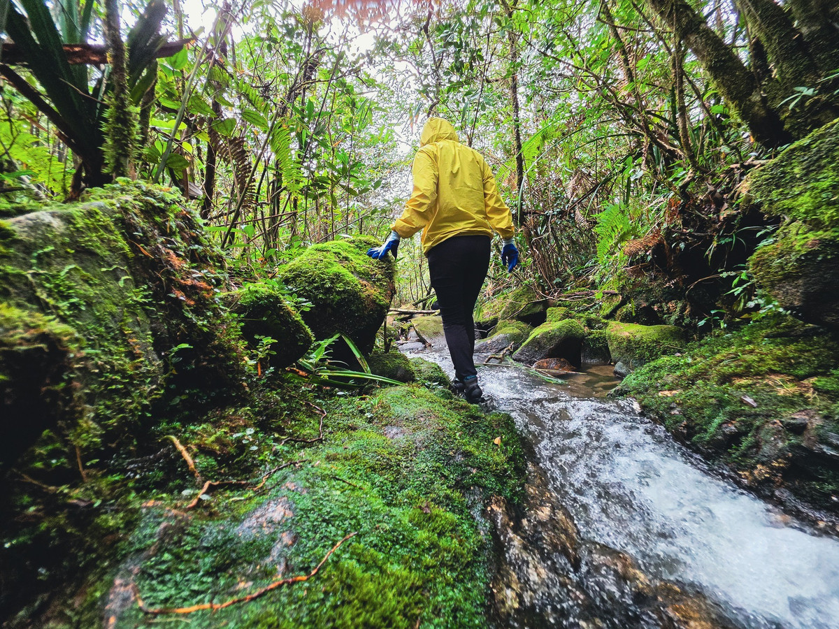 Ngay từ những bước chân đầu tiên, du khách đã cảm nhận rõ sự khác biệt của Pa Thiên – Voi Mẹp. Không còn cái lạnh cắt da của mùa đông, tiết trời se se mát lành đủ để bước đi bền bỉ trên những con dốc dài.
