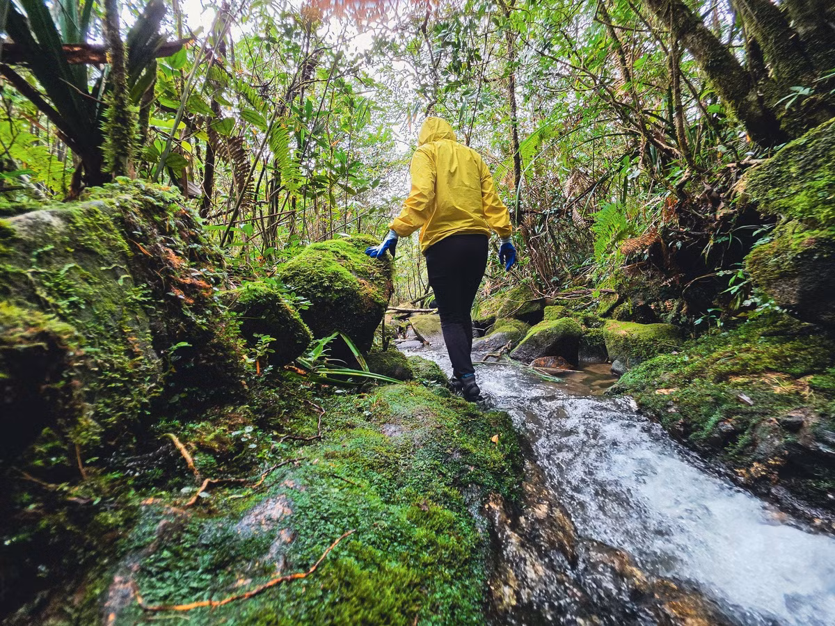 Ngay từ những bước chân đầu tiên, du khách đã cảm nhận rõ sự khác biệt của Pa Thiên – Voi Mẹp. Không còn cái lạnh cắt da của mùa đông, tiết trời se se mát lành đủ để bước đi bền bỉ trên những con dốc dài.