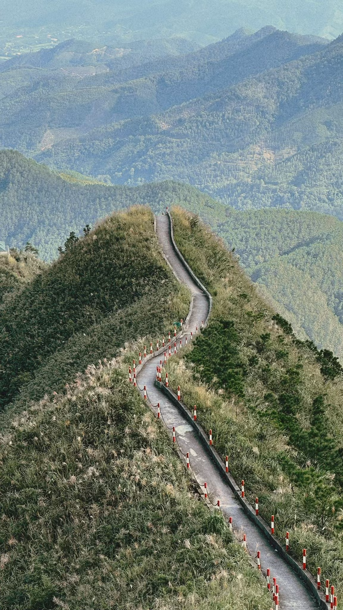 Theo kinh nghiệm của nhiều người từng chinh phục, thời điểm lý tưởng nhất để leo “sống lưng khủng long” là buổi sáng sớm, khi ánh bình minh lên trên dãy núi và sương vẫn còn vờn quanh triền đèo. Bình Liêu mùa nào cũng đẹp, nhưng đặc biệt quyến rũ vào tháng 8 – 10 (mùa lúa chín), tháng 10 – 11 (mùa cỏ lau trắng xóa) và tháng 11 – 1 (mùa hoa sở nở rộ). Ảnh Rory Nguyễn