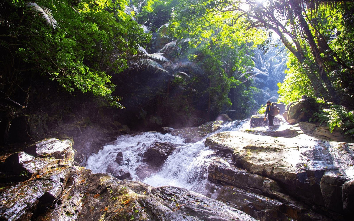 Để đến được thác, du khách phải vượt qua hành trình trekking dài khoảng 6–8 km xuyên rừng nguyên sinh. Con đường mòn băng qua những gốc lim, gốc le cổ thụ, len lỏi giữa khe suối và sườn núi dốc. Những ai đã từng trải nghiệm cung đường này đều mô tả cảm giác “vừa vất vả vừa sảng khoái”, bởi càng đi sâu vào rừng, không khí càng trong lành, mát lạnh và gần như tách biệt hoàn toàn với thế giới bên ngoài. Ảnh Trần Cương