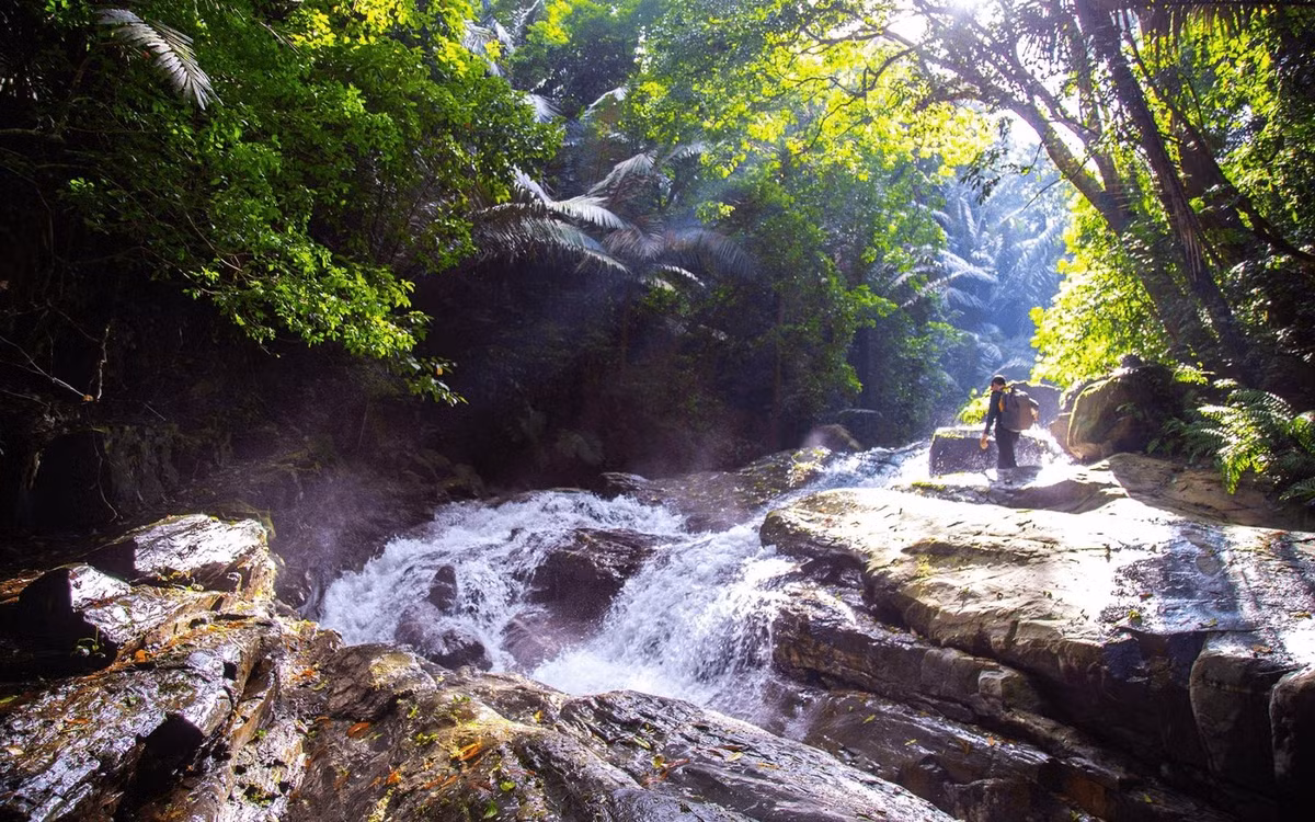 Để đến được thác, du khách phải vượt qua hành trình trekking dài khoảng 6–8 km xuyên rừng nguyên sinh. Con đường mòn băng qua những gốc lim, gốc le cổ thụ, len lỏi giữa khe suối và sườn núi dốc. Những ai đã từng trải nghiệm cung đường này đều mô tả cảm giác “vừa vất vả vừa sảng khoái”, bởi càng đi sâu vào rừng, không khí càng trong lành, mát lạnh và gần như tách biệt hoàn toàn với thế giới bên ngoài. Ảnh Trần Cương