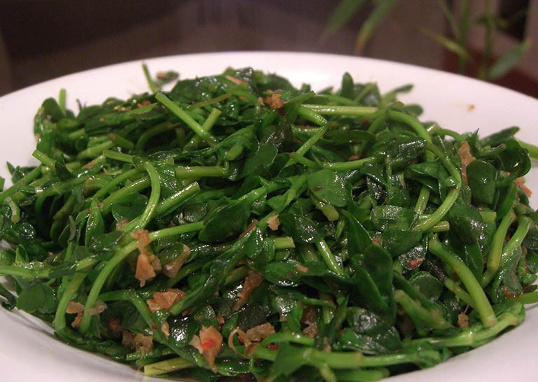 Phụ nữ mang thai cần đặc biệt cẩn trọng, bởi một số nghiên cứu trên động vật cho thấy các hoạt chất trong rau đắng có thể gây co bóp tử cung và làm tăng nguy cơ sảy thai hoặc xuất huyết. Trong trường hợp xuất hiện các triệu chứng như buồn nôn, khó tiêu hoặc tiêu chảy sau khi ăn, người dùng nên ngừng sử dụng và đến cơ sở y tế để được tư vấn kịp thời. Ảnh minh họa