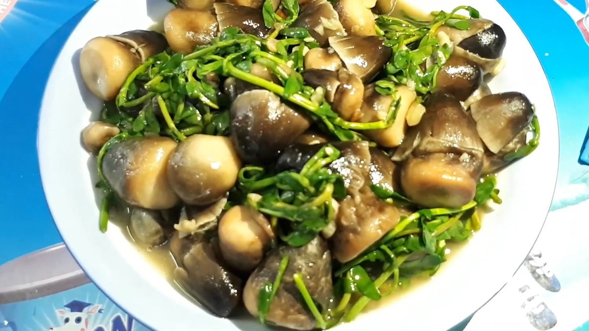 Ngoài những lợi ích kể trên, rau đắng còn được ghi nhận có tác động tích cực đến hệ thần kinh, giúp ổn định các phản ứng dẫn truyền và hỗ trợ ngăn ngừa một số rối loạn thần kinh, trong đó có nguy cơ xuất hiện các cơn động kinh. Ảnh minh họa