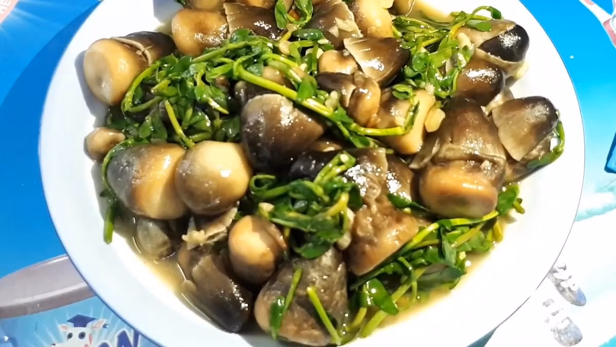 Ngoài những lợi ích kể trên, rau đắng còn được ghi nhận có tác động tích cực đến hệ thần kinh, giúp ổn định các phản ứng dẫn truyền và hỗ trợ ngăn ngừa một số rối loạn thần kinh, trong đó có nguy cơ xuất hiện các cơn động kinh. Ảnh minh họa