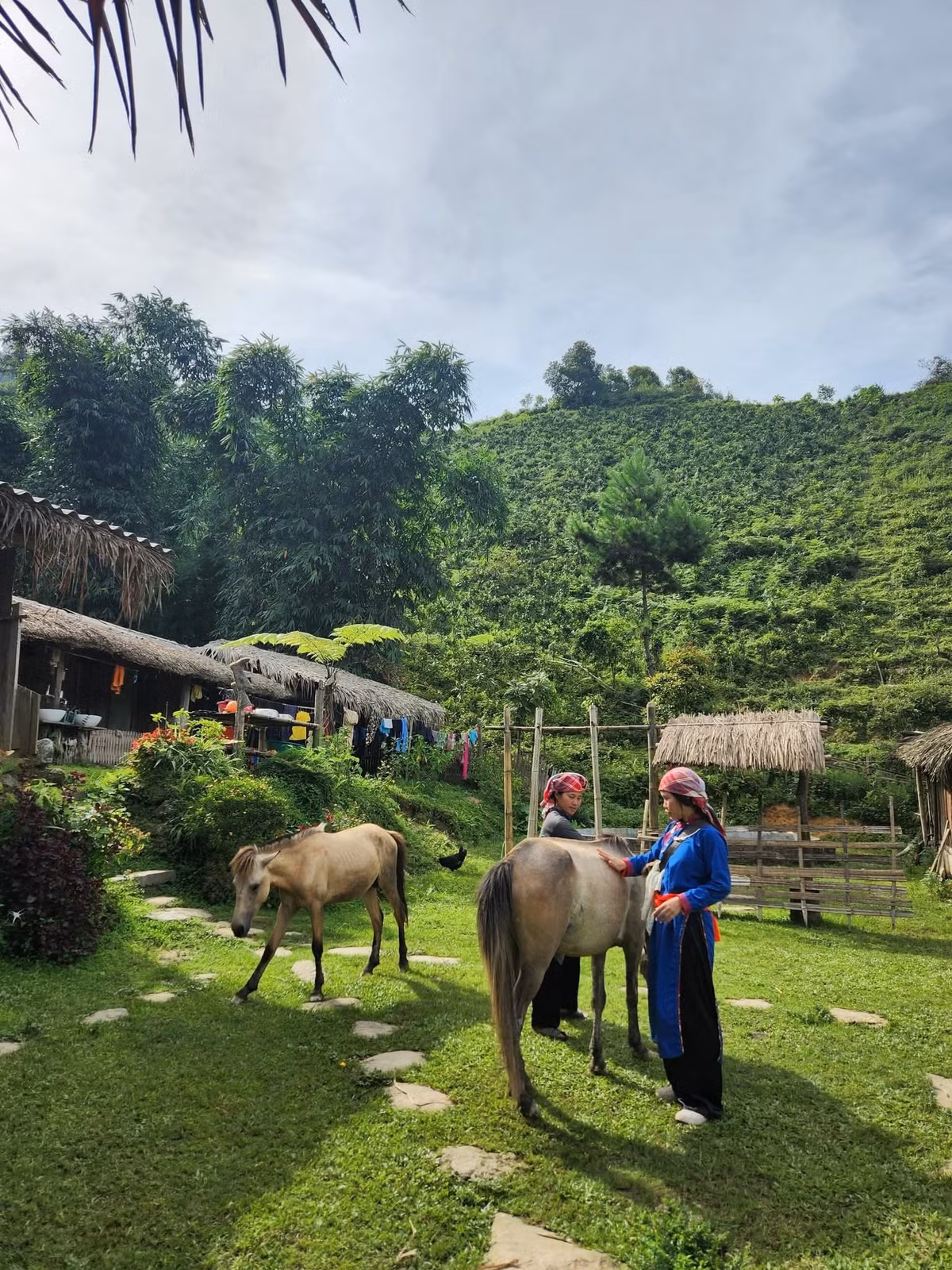 Giữa nhịp sống hiện đại vội vã, Bản Liền hiện lên như một góc nhỏ yên lành còn sót lại của núi rừng Tây Bắc. Không quá nổi tiếng, không ồn ào du khách, nhưng chính sự mộc mạc ấy lại khiến nơi đây trở nên đặc biệt. Một chuyến đi ngắn ngày tới Bản Liền không chỉ là dịp để hòa mình vào thiên nhiên trong lành, mà còn là cơ hội để chạm tới chiều sâu văn hóa bản địa, để thấy lòng nhẹ nhõm hơn giữa những vạt chè xanh, tiếng suối róc rách và nụ cười hiền hậu của người vùng cao. Nếu đang tìm kiếm một điểm đến bình dị mà giàu trải nghiệm, Bản Liền chắc chắn là cái tên xứng đáng được lưu lại trong hành trình khám phá. Ảnh dophuc.2710
