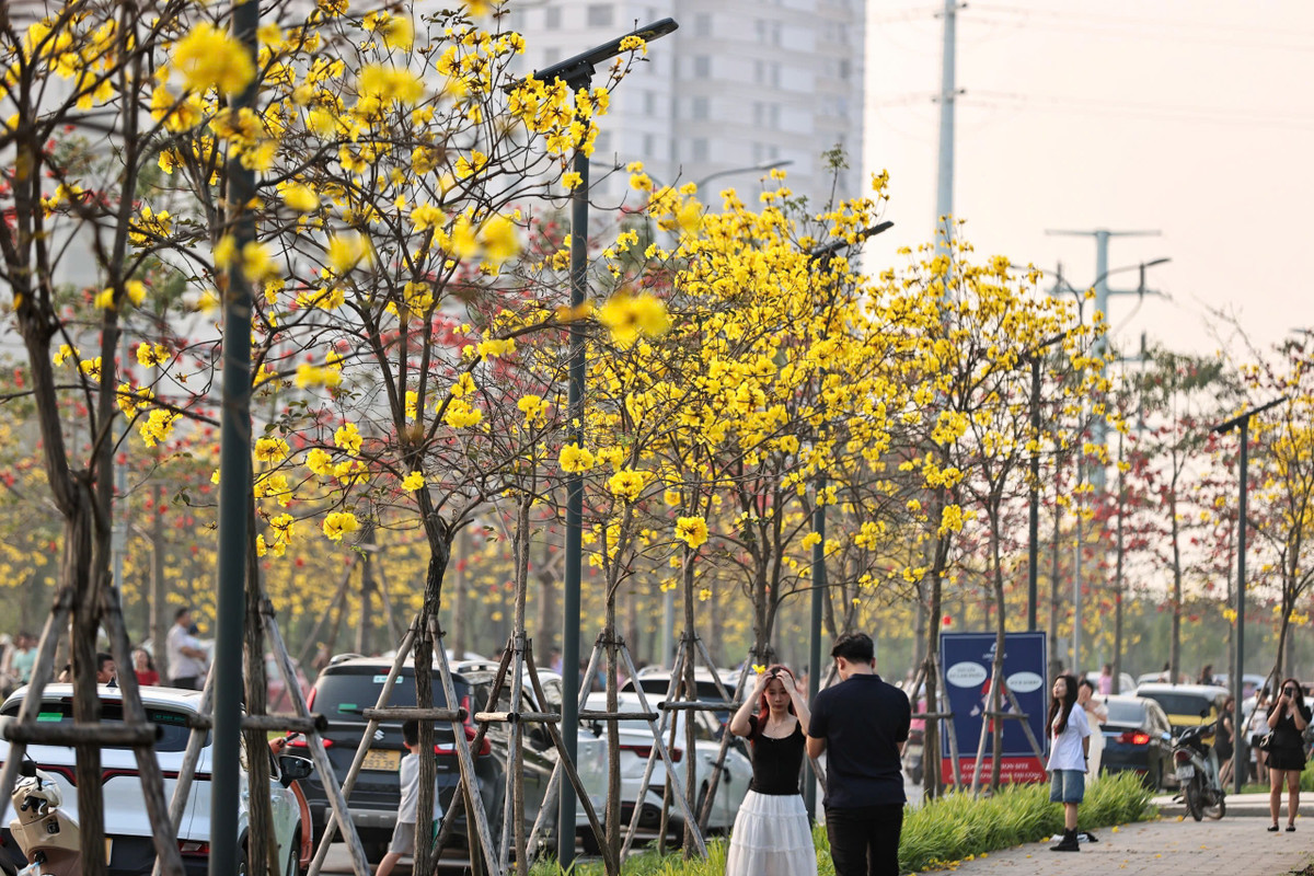 Từ sáng sớm đến chiều muộn, khu vực này luôn nhộn nhịp người qua lại. Nhiều bạn trẻ, gia đình hay các nhóm bạn rủ nhau tới chụp ảnh, tận hưởng không khí mùa xuân. Trên các bãi cỏ và dọc hai bên đường, từng nhóm người kiên nhẫn chờ đến lượt để có được những bức hình ưng ý giữa “biển hoa”.