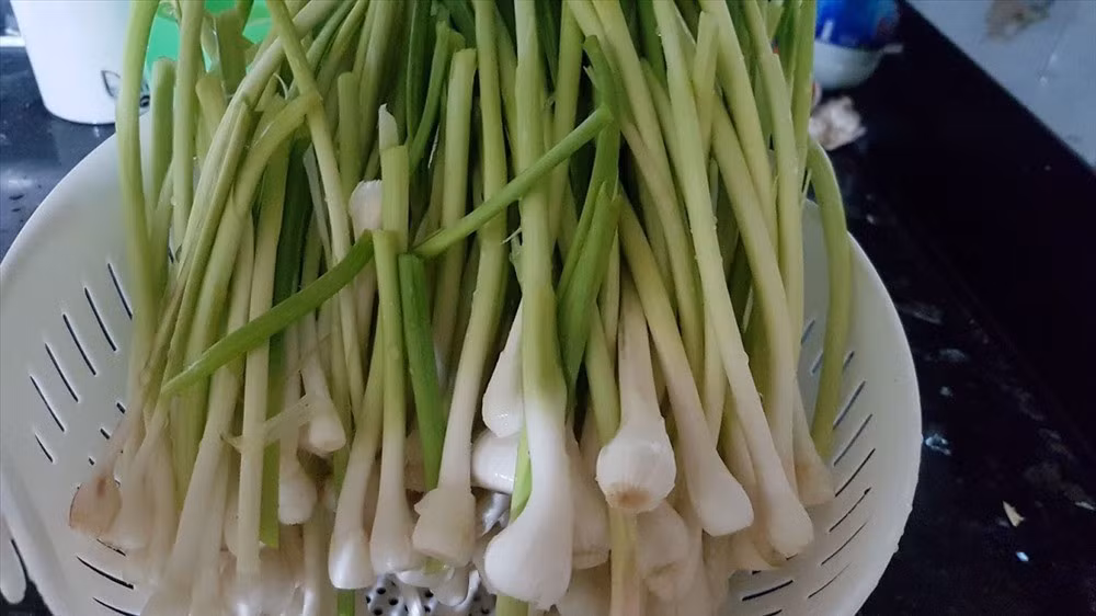 Bên cạnh đó, allicin hợp chất đặc trưng của họ nhà tỏi góp phần hạ cholesterol xấu, tăng cholesterol tốt, giảm triglyceride và hỗ trợ giãn mạch máu. Nhờ vậy, việc sử dụng ngồng tỏi thường xuyên có thể giúp ngăn ngừa xơ vữa động mạch, giảm nguy cơ đột quỵ và bảo vệ tim mạch hiệu quả. Ảnh minh họa