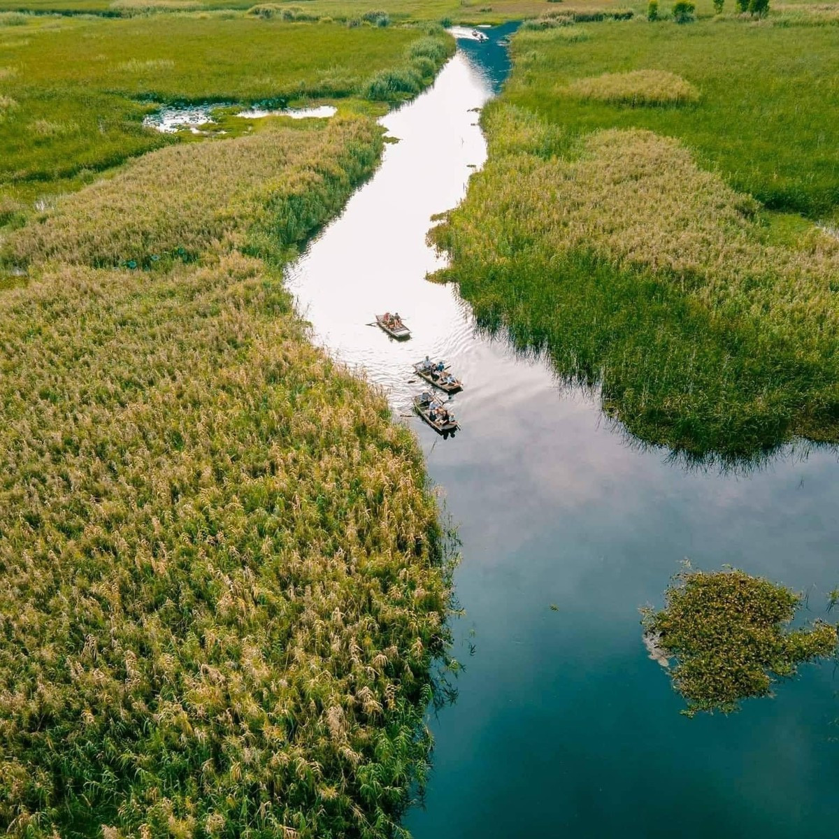 Núi Mèo Cào cũng là một dấu ấn đặc biệt của Vân Long. Ngọn núi đá vôi dựng đứng, nằm độc lập giữa vùng đầm nước, trên vách đá xuất hiện những vết xước dài giống dấu cào, tạo nên tên gọi độc đáo và thu hút sự tò mò của du khách. Ảnh Ảnh Visit Ninh Binh