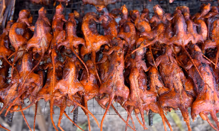 Quy trình chế biến chuột đồng quay lu đòi hỏi kỹ thuật tỉ mỉ. Chuột sau khi làm sạch, trụng nước sôi, loại bỏ lông và ruột sẽ được tẩm ướp gia vị như dầu hào, ngũ vị hương, muối hay mắm. Ảnh Toptentravel