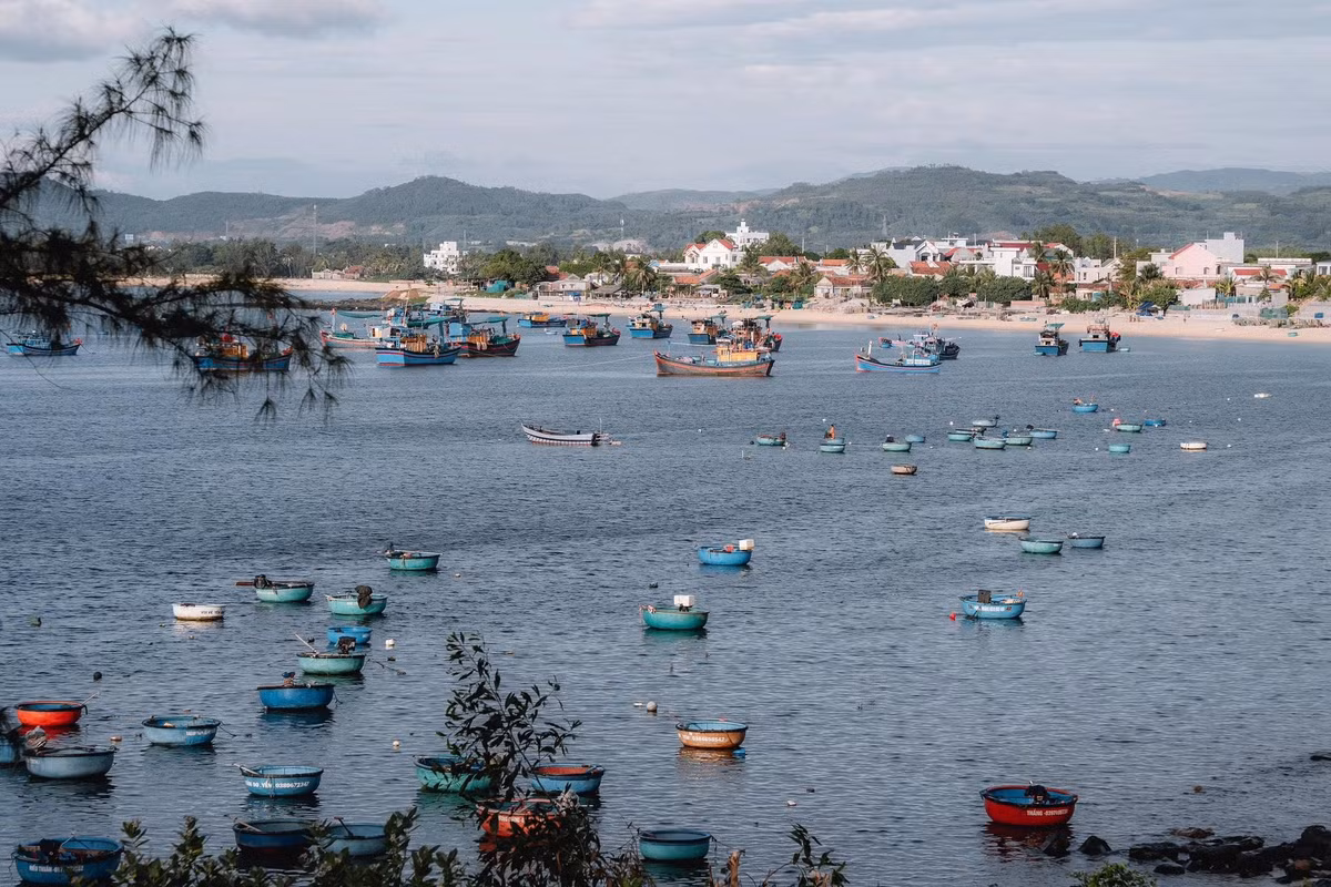 Những ngày này, Hòn Yến như khoác lên mình tấm áo mới. Khi bình minh vừa ló rạng, hàng chục chiếc thuyền thúng tỏa ra vùng nước cạn quanh Hòn Yến để quây cá. Ảnh Tobi Dương