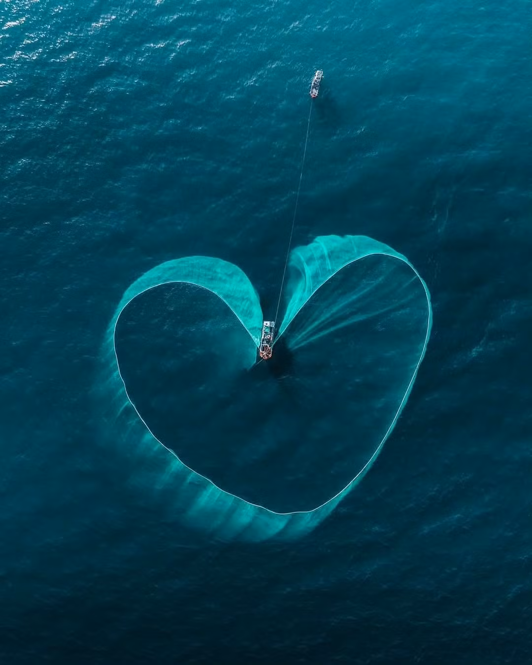 Cá cơm óng ánh, lấp lánh ánh bạc, từng rổ cá tươi rói được chuyển từ thuyền lên bờ nhanh chóng để đưa đi sơ chế và phơi khô. Mùi mặn mòi của biển, tiếng cười nói rộn ràng của ngư dân, ánh nắng và gió hòa quyện tạo nên bức tranh sinh động của làng chài miền Trung. Ảnh with.b3n