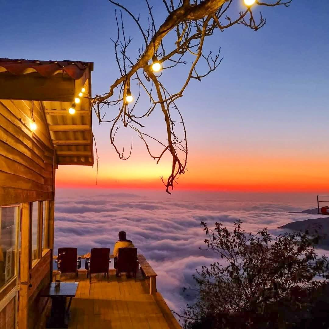 View - Du lịch Tà Xùa, 5 quán cà phê săn mây khiến du khách say lòng | Báo Tri thức và Cuộc sống - TIN TỨC PHỔ BIẾN KIẾN THỨC 24H