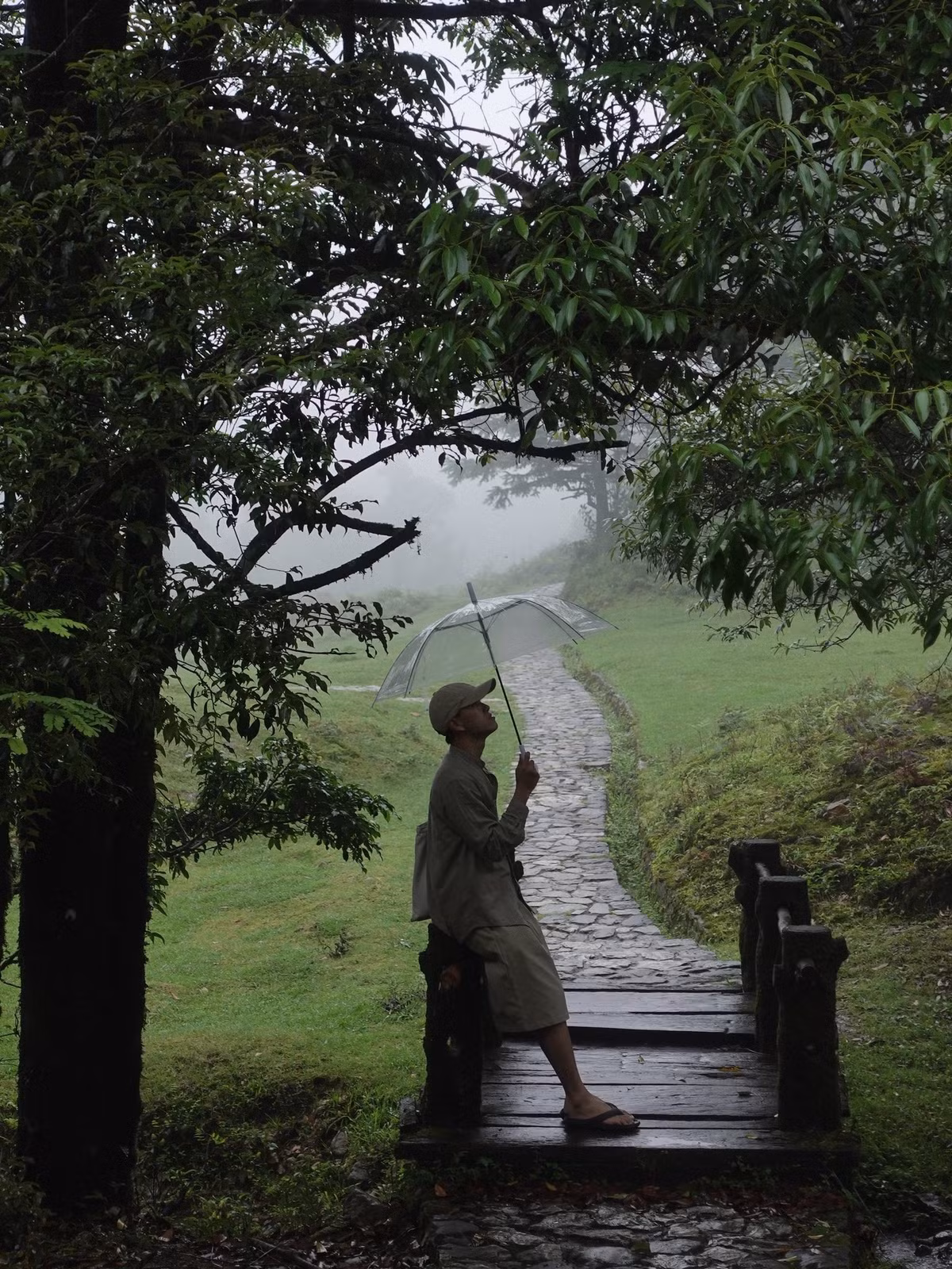 Nơi đây nổi bật với sự đa dạng sinh học vào loại bậc nhất Việt Nam, là mái nhà của hơn 2.000 loài thực vật và gần 600 loài động vật quý hiếm, trong đó nhiều loài có tên trong Sách đỏ như thông đỏ, nghiến, vượn đen má trắng, báo hoa mai... Ảnh Tuấn Anh Cao