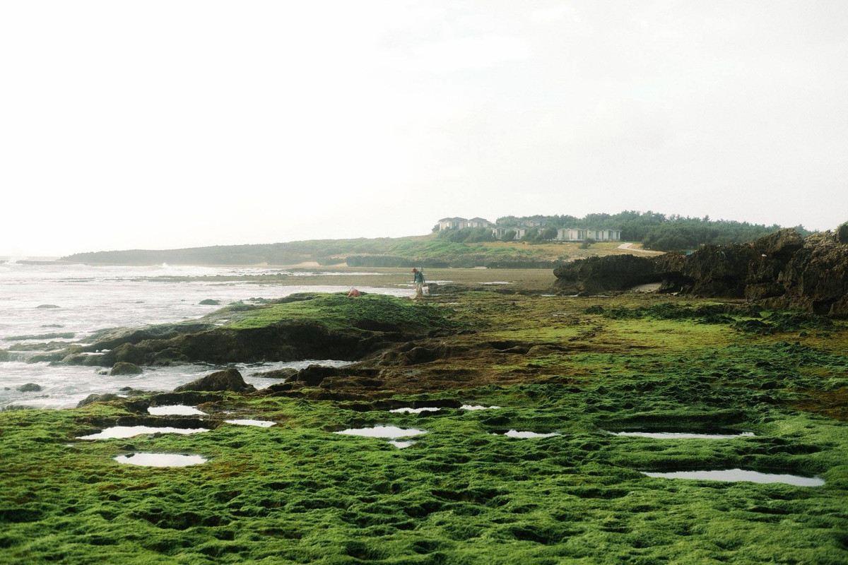Nằm tại thôn Mỹ Hiệp, xã Vĩnh Hải, (Khánh Hoà), Hòn Đỏ cách trung tâm Phan Rang – Tháp Chàm khoảng 17 km về phía Đông Bắc. Đây là một trong số ít địa điểm ven biển sở hữu quần thể san hô hóa thạch lộ thiên, hình thành qua hàng ngàn năm vận động địa chất. Những khối san hô, đá vôi xếp chồng lên nhau, gồ ghề nhưng đầy ngẫu hứng, tạo nên cảnh quan khác biệt so với các bãi biển cát trắng quen thuộc. Ảnh Hải Trình