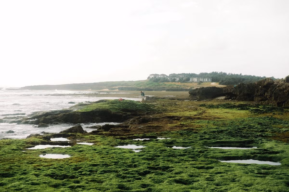 Nằm tại thôn Mỹ Hiệp, xã Vĩnh Hải, (Khánh Hoà), Hòn Đỏ cách trung tâm Phan Rang – Tháp Chàm khoảng 17 km về phía Đông Bắc. Đây là một trong số ít địa điểm ven biển sở hữu quần thể san hô hóa thạch lộ thiên, hình thành qua hàng ngàn năm vận động địa chất. Những khối san hô, đá vôi xếp chồng lên nhau, gồ ghề nhưng đầy ngẫu hứng, tạo nên cảnh quan khác biệt so với các bãi biển cát trắng quen thuộc. Ảnh Hải Trình