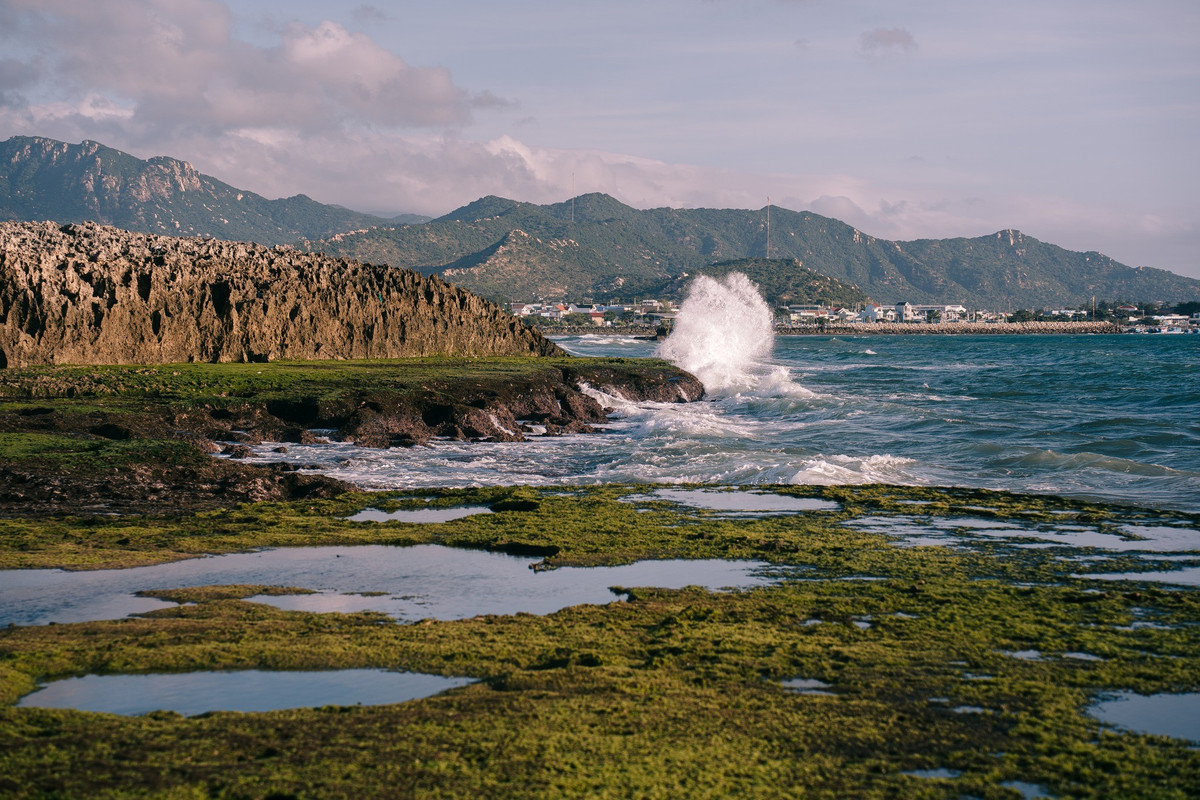 Để chiêm ngưỡng trọn vẹn vẻ đẹp bãi rêu, du khách nên theo dõi lịch thủy triều và ưu tiên ghé thăm vào sáng sớm. Việc di chuyển trên bãi đá cần cẩn thận do bề mặt trơn trượt, đồng thời hạn chế giẫm đạp lên rêu và sinh vật biển nhằm bảo vệ cảnh quan tự nhiên. Ảnh Lương Phong