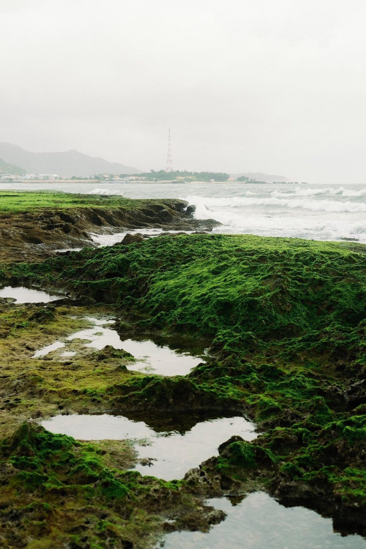Với những người yêu thiên nhiên và nhiếp ảnh, Hòn Đỏ được xem là một trong những điểm ngắm bình minh ấn tượng của khu vực duyên hải Nam Trung Bộ. Khi mặt trời còn ẩn mình sau đường chân trời, biển lặng như gương, ánh sáng đầu ngày nhẹ nhàng nhuộm vàng mặt nước, len lỏi qua từng khe đá, đánh thức cả không gian rộng lớn. Ảnh Hải Trình