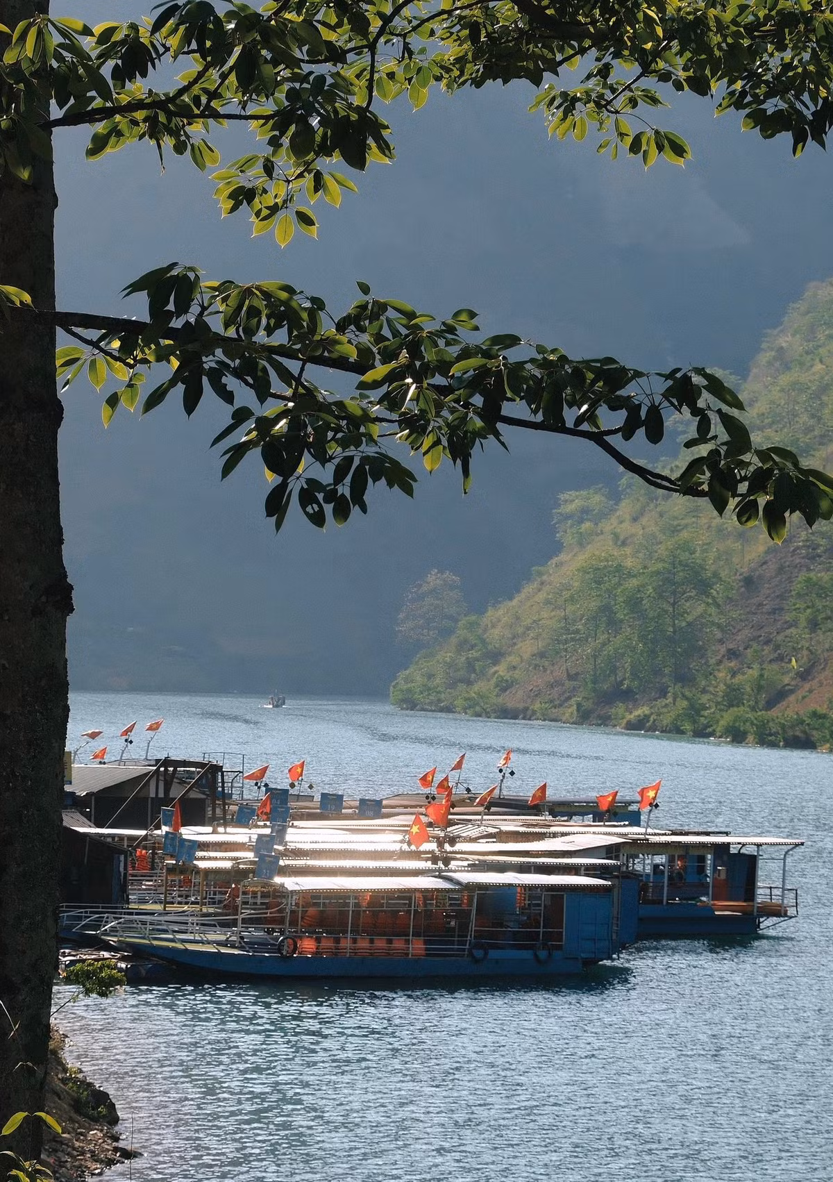 Nếu du khách cũng đang tìm kiếm một hành trình chạm vào vẻ đẹp nguyên sơ, được đi giữa những cung đường đèo gió thổi lồng lộng, nghe tiếng suối róc rách và nếm trọn hương vị vùng cao, chuyến đi như của Hoàng Yến sẽ là một gợi ý không thể tuyệt hơn. Ảnh Hoàng Yến