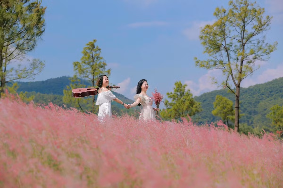 Từ Hà Nội, du khách có thể di chuyển bằng ô tô hoặc xe máy theo hướng cao tốc Hà Nội – Hải Phòng rồi rẽ về TP. Chí Linh cũ, mất khoảng 2 giờ là tới nơi. Thời điểm đẹp nhất để check-in đồi cỏ hồng là từ tháng 9 đến tháng 11, khi cỏ nở rộ và thời tiết se lạnh, khô ráo, rất thích hợp cho các chuyến dã ngoại cuối tuần. Ảnh Le Hiep