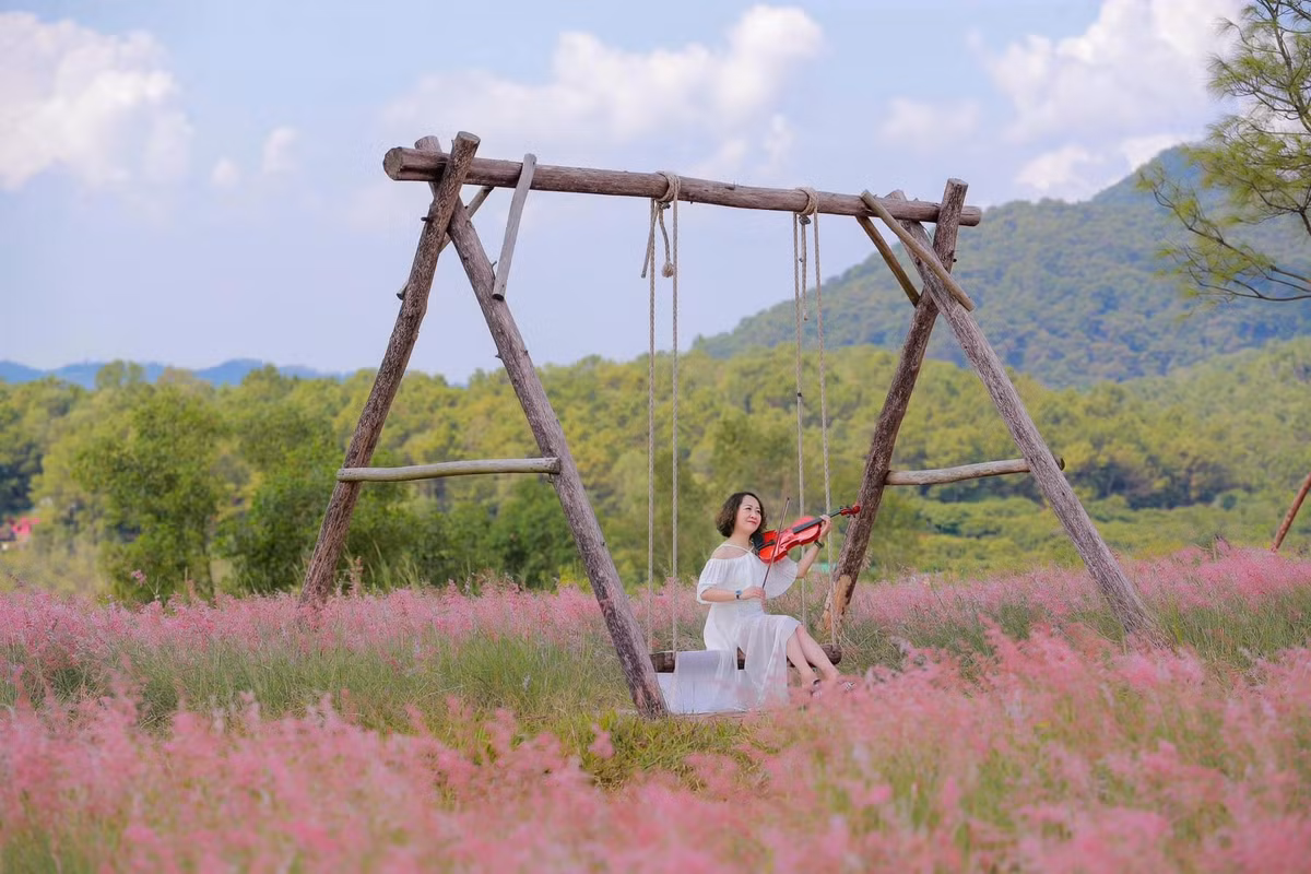 Giữa tiết trời cuối thu, đầu đông, đồi cỏ hồng Hải Phòng như mang đến một khoảng dừng nhẹ nhàng cho những ai muốn tạm rời thành phố, tìm đến thiên nhiên để “nạp năng lượng”. Một buổi sáng sớm lạc bước giữa thảm cỏ hồng phơn phớt, hít căng lồng ngực bầu không khí trong lành và lắng nghe tiếng gió vi vu giữa đồi – chỉ vậy thôi cũng đủ khiến chuyến đi trở nên đáng nhớ. Ảnh Le Hiep