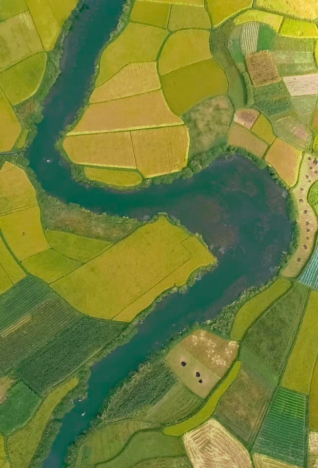 Vào mùa lúa chín, thung lũng nhuộm một màu vàng rực rỡ, còn khi gió đổi mùa, cả vùng như khoác lên mình tấm áo xanh mát mắt. Ảnh Nguyễn Trọng Cung