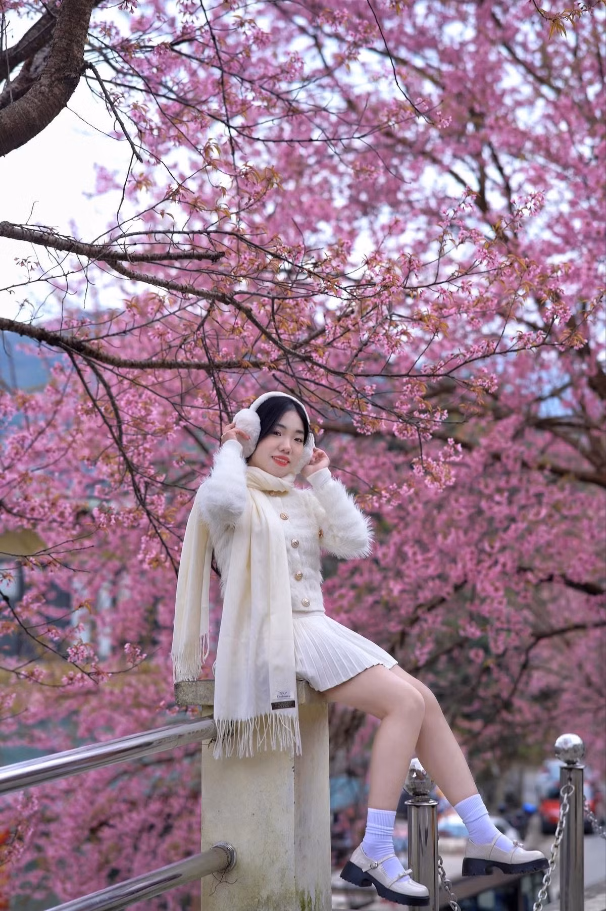 Khu vực bậc thang, các gốc cây thấp và biển tên "Đồn Biên phòng Lũng Cú" ẩn hiện sau sắc hoa là những góc chụp được nhiều người yêu thích. Ảnh Internet