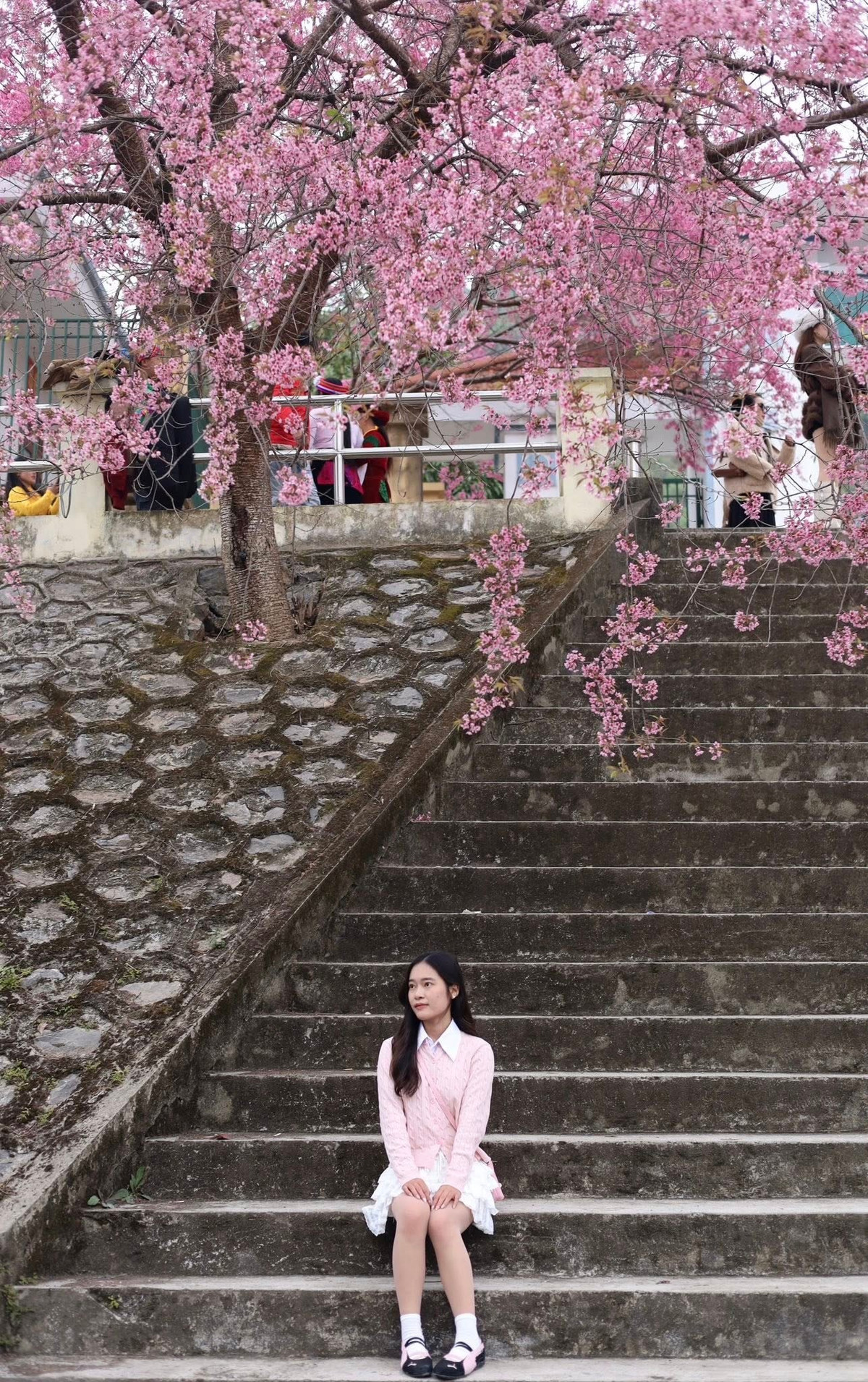 Đồng thời, do vùng cao trời lạnh, du khách nên chuẩn bị áo ấm, khăn quàng và giày thoải mái để dễ dàng di chuyển. Ảnh Đỗ Tú Anh