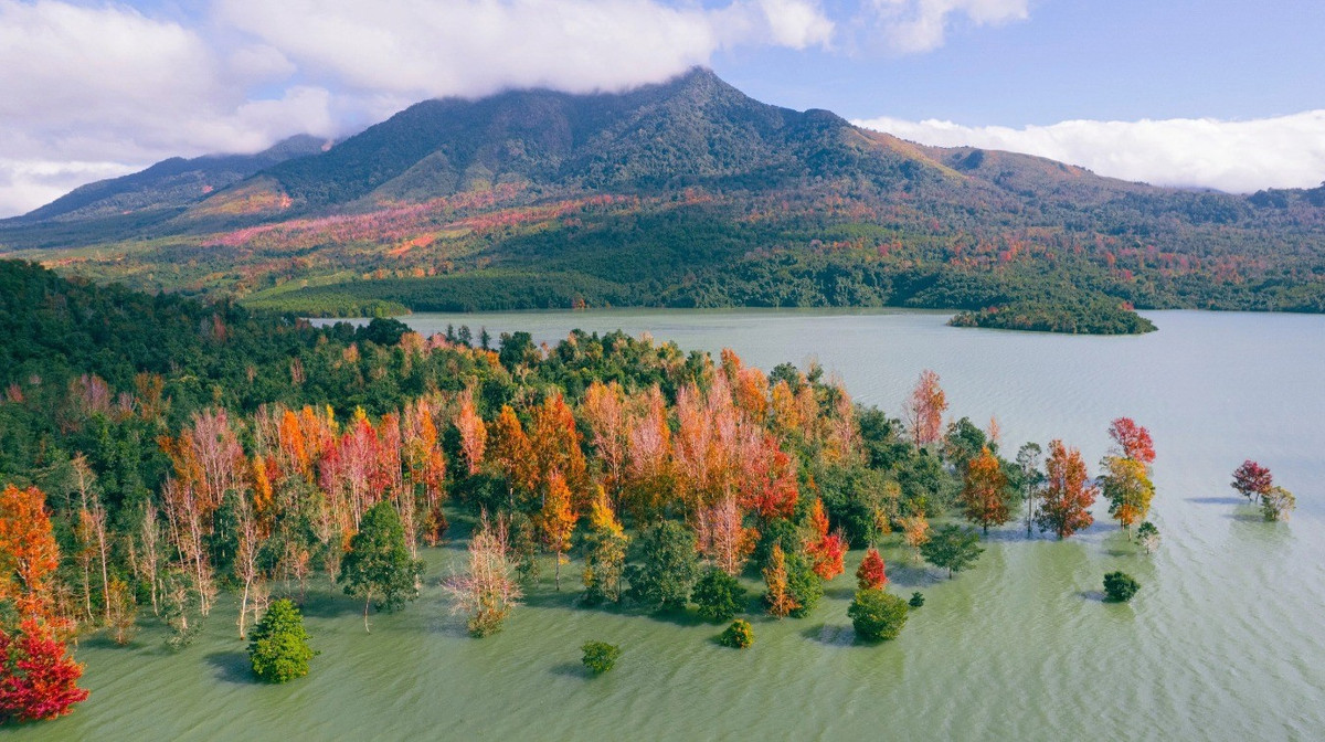 위에서 내려다보면 단풍나무 숲으로 뒤덮인 산들이 마치 화려한 그림처럼 보입니다. 밝은 노란색부터 밝은 빨간색까지, 이곳을 찾는 모든 방문객의 감탄을 자아냅니다. 사진: Duc Hieu