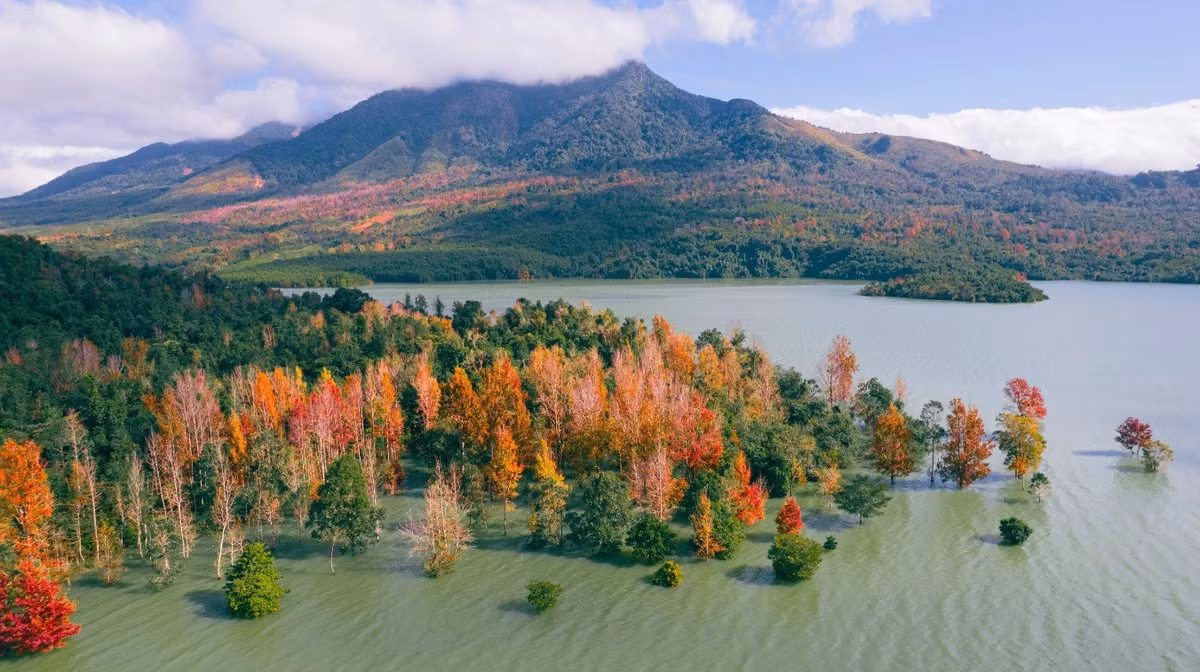 Nhìn từ trên cao, những triền núi phủ rừng phong hương hiện ra như một bức tranh đa sắc rực rỡ, từ vàng rực đến đỏ tươi, khiến bất cứ du khách nào đặt chân đến cũng phải trầm trồ. Ảnh Đức Hiếu