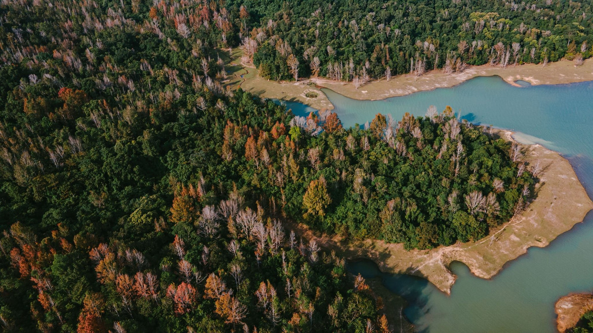 이 시기에 라오취안 수력 호수가 솟아오르고, 맑고 푸른 수면에 변화하는 나무들의 모습이 반사되어 낭만적이고 신비로운 풍경을 연출합니다. 이곳의 풍경은 사진작가와 자연을 사랑하는 관광객들에게 이상적인 체크인 및 사진 촬영 장소가 됩니다. 사진: Huy Vo