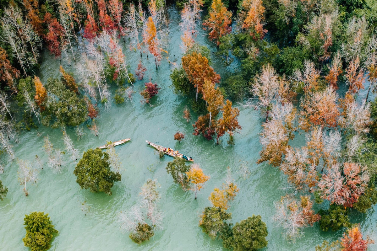 많은 사람들에게 케산과 흐엉풍의 붉은 단풍은 자연일 뿐만 아니라, 꽝찌 북동부 산악 지대에서 가을 추억의 일부로 자리 잡은 문화적 경험이기도 합니다. 사진: 후이 보