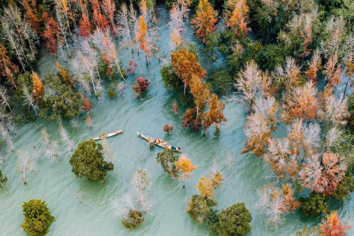 Đối với nhiều người, cảnh lá đỏ ở Khe Sanh và Hướng Phùng không chỉ là thiên nhiên mà còn là trải nghiệm văn hóa, một phần ký ức mùa thu miền núi Đông Bắc Quảng Trị. Ảnh Huy Võ