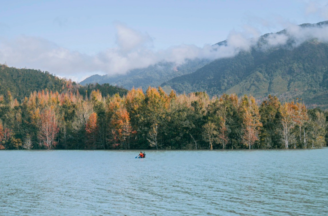 많은 사람들이 이곳을 