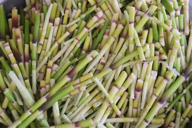 Trong 155g măng có khoảng 64 calo, 2,5g đạm, 4,5g chất béo, 5g carb cùng nhiều hợp chất chống oxy hóa tự nhiên. Nhờ đó, măng mang đến nhiều lợi ích cho sức khỏe như hỗ trợ giảm cân, điều hòa cholesterol, tăng cường miễn dịch và cải thiện hệ tiêu hóa. Ảnh minh hoạ