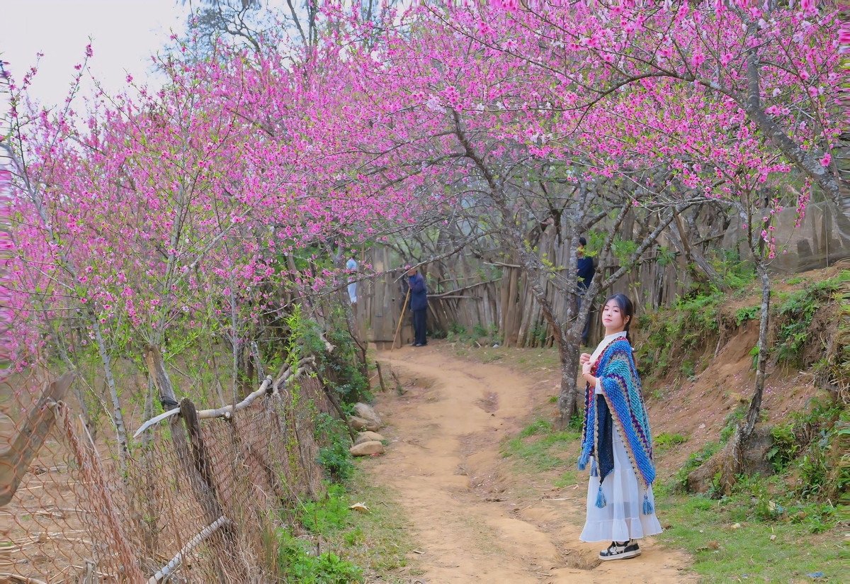 Giữa vô vàn điểm đến mùa xuân, Lùng Cúng vẫn giữ cho mình nét duyên thầm của vùng cao còn nhiều nguyên sơ.