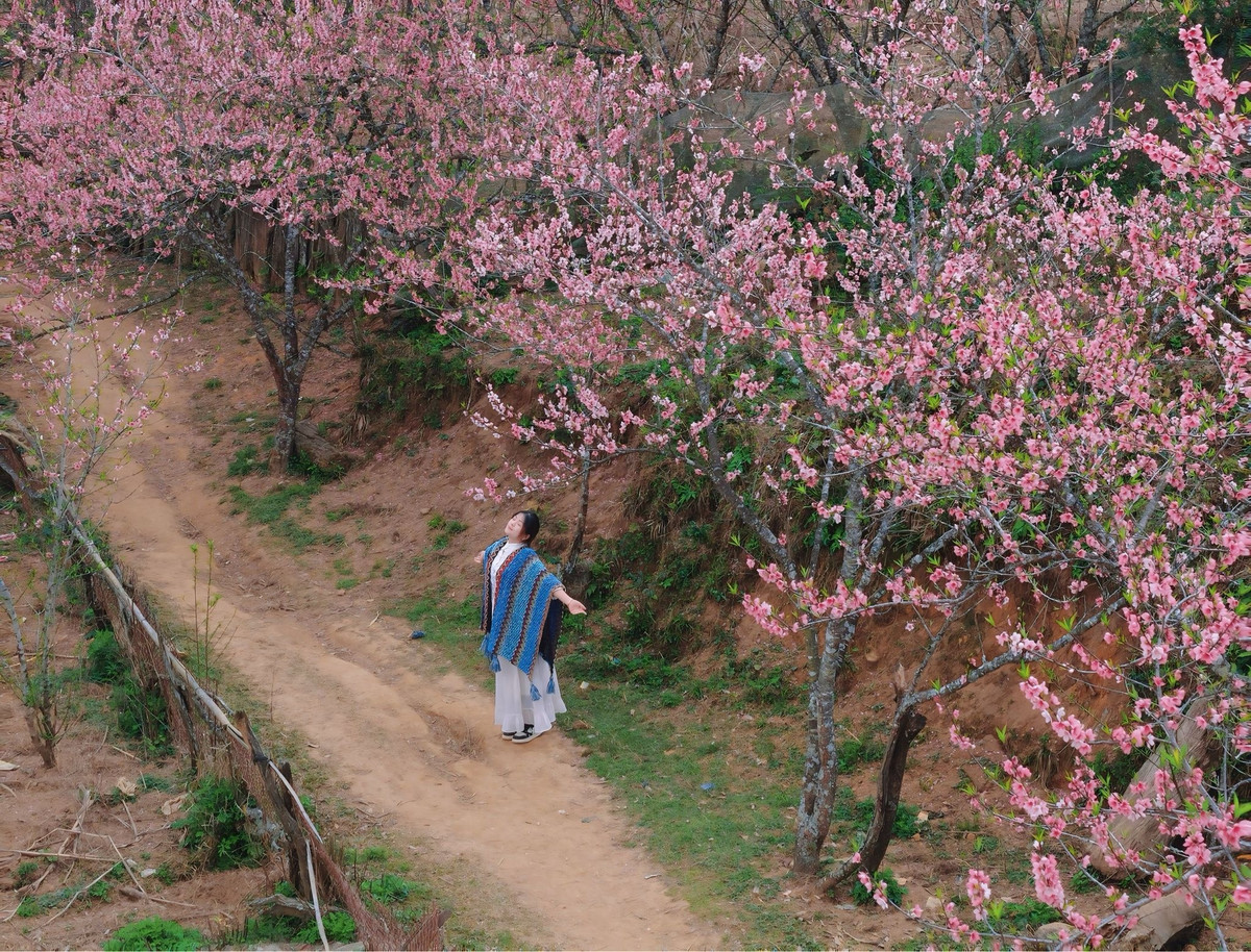 Mùa đào ở Lùng Cúng thường kéo dài từ sau Tết Nguyên đán đến khoảng tháng 2 – 3 dương lịch, tùy vào thời tiết từng năm. Đây là thời điểm lý tưởng để khám phá một Tây Bắc rất khác không xô bồ, không náo nhiệt, chỉ có sắc hoa nở giữa đại ngàn và sự bình yên lan tỏa trong từng hơi thở núi rừng.